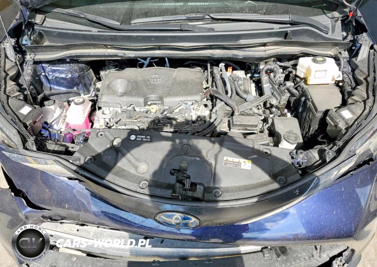 2023 Toyota Sienna Xle VIN:5TDYRKEC4PS172742 - 12