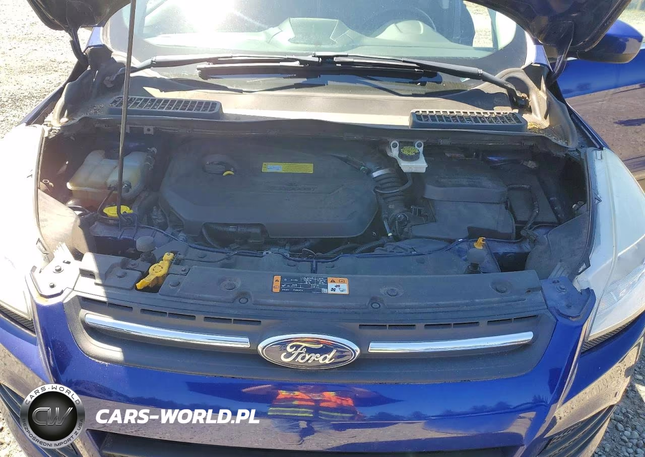 2014 Ford Escape Se VIN:1FMCU9GXXEUA95543 - 12