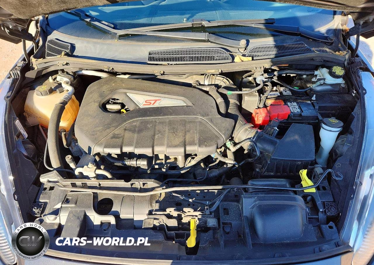2018 Ford Fiesta St VIN:3FADP4GX8JM113562 - 11