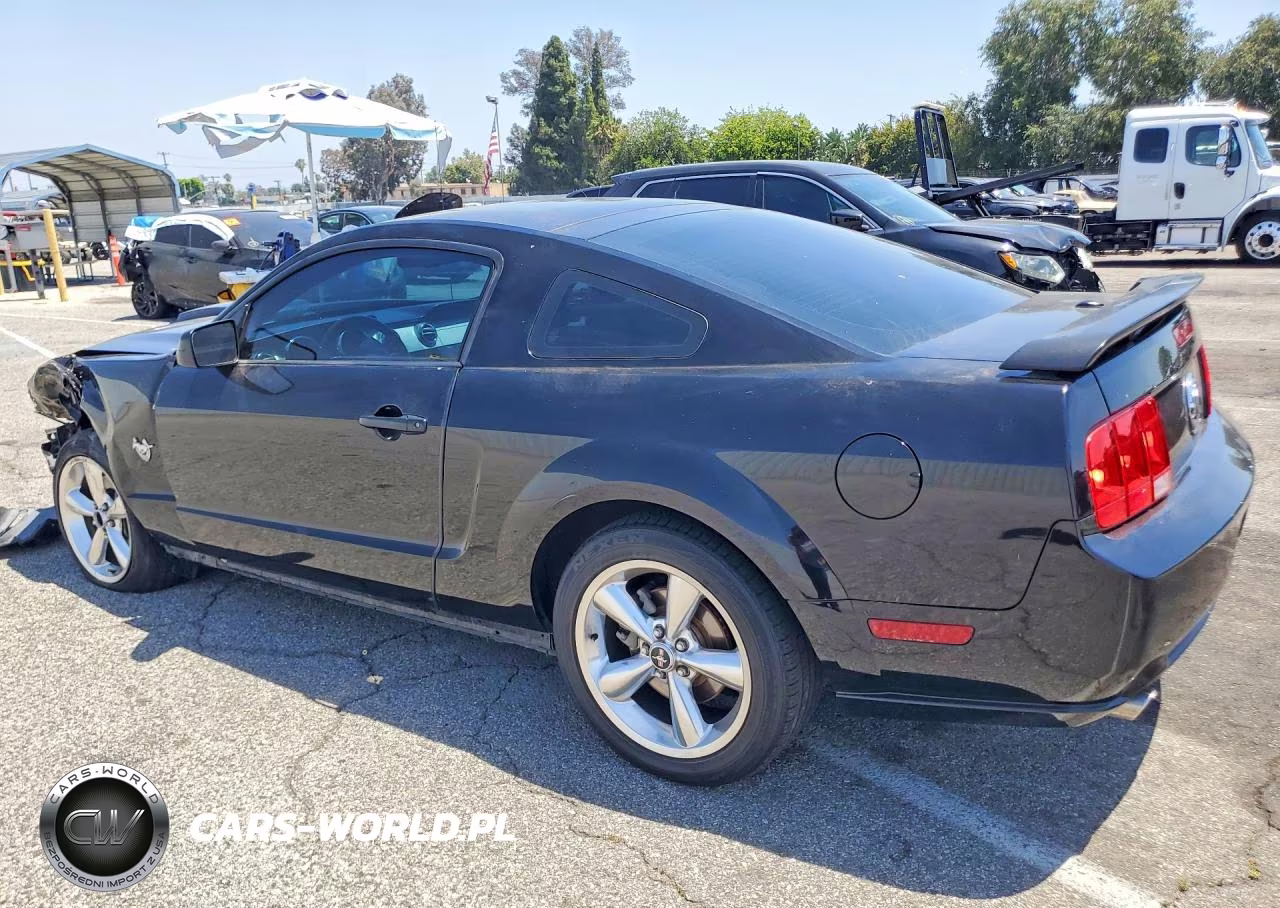 2009 Ford Mustang Gt VIN:1ZVHT82H095109129 - 2