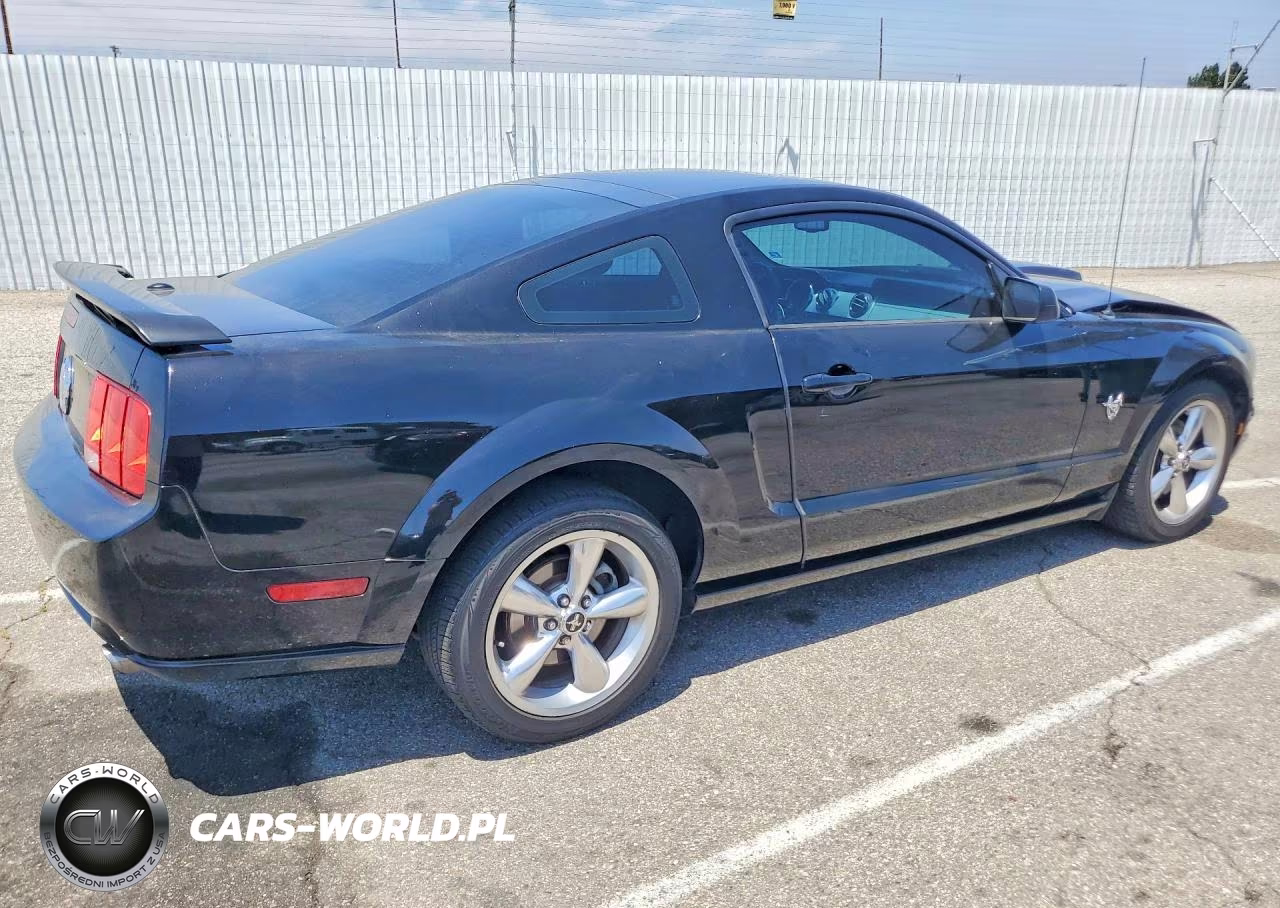 2009 Ford Mustang Gt VIN:1ZVHT82H095109129 - 3