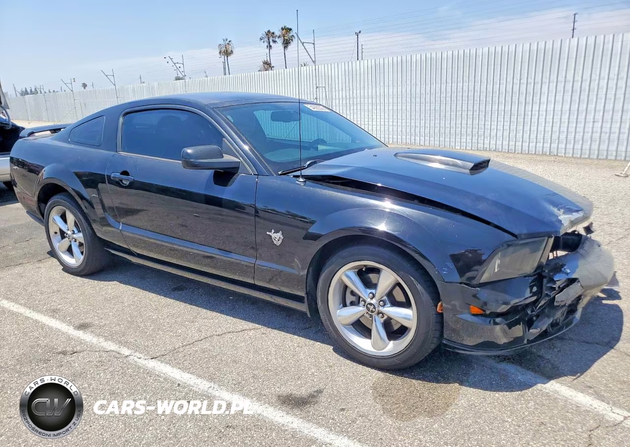 2009 Ford Mustang Gt VIN:1ZVHT82H095109129 - 4