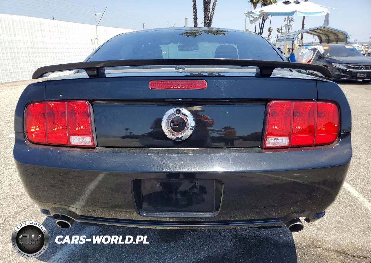2009 Ford Mustang Gt VIN:1ZVHT82H095109129 - 6