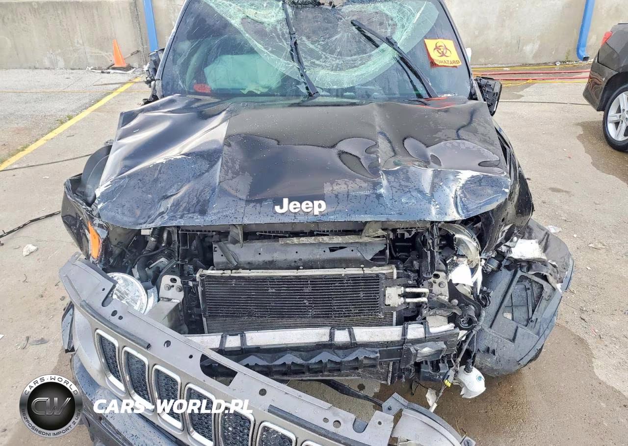 2019 Jeep Renegade Limited VIN:ZACNJBD17KPJ93825 - 12