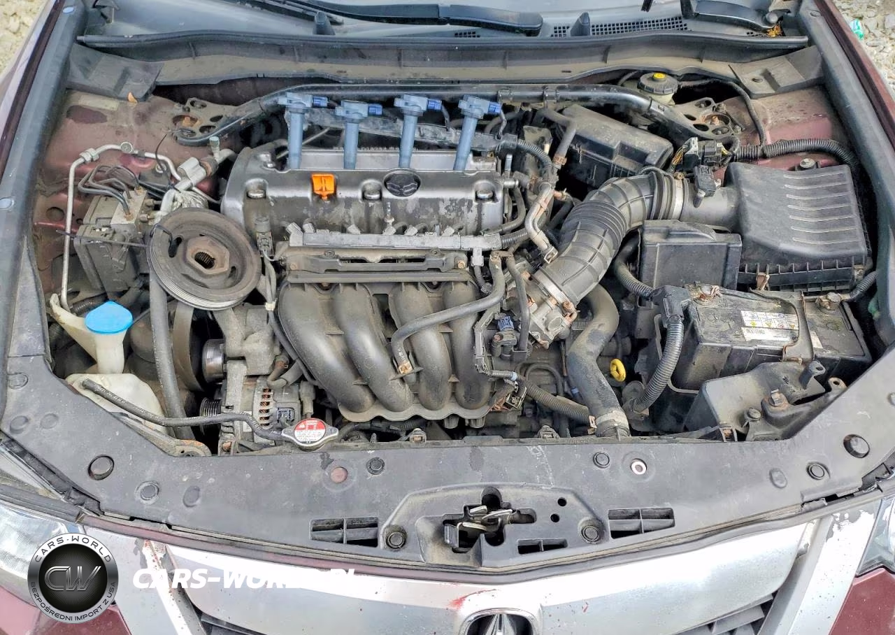 2009 Acura Tsx VIN:JH4CU26609C021739 - 11