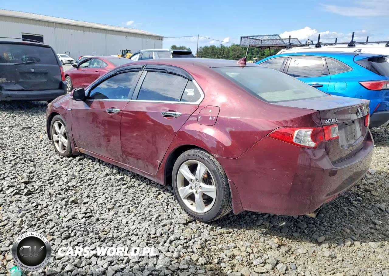 2009 Acura Tsx VIN:JH4CU26609C021739 - 2