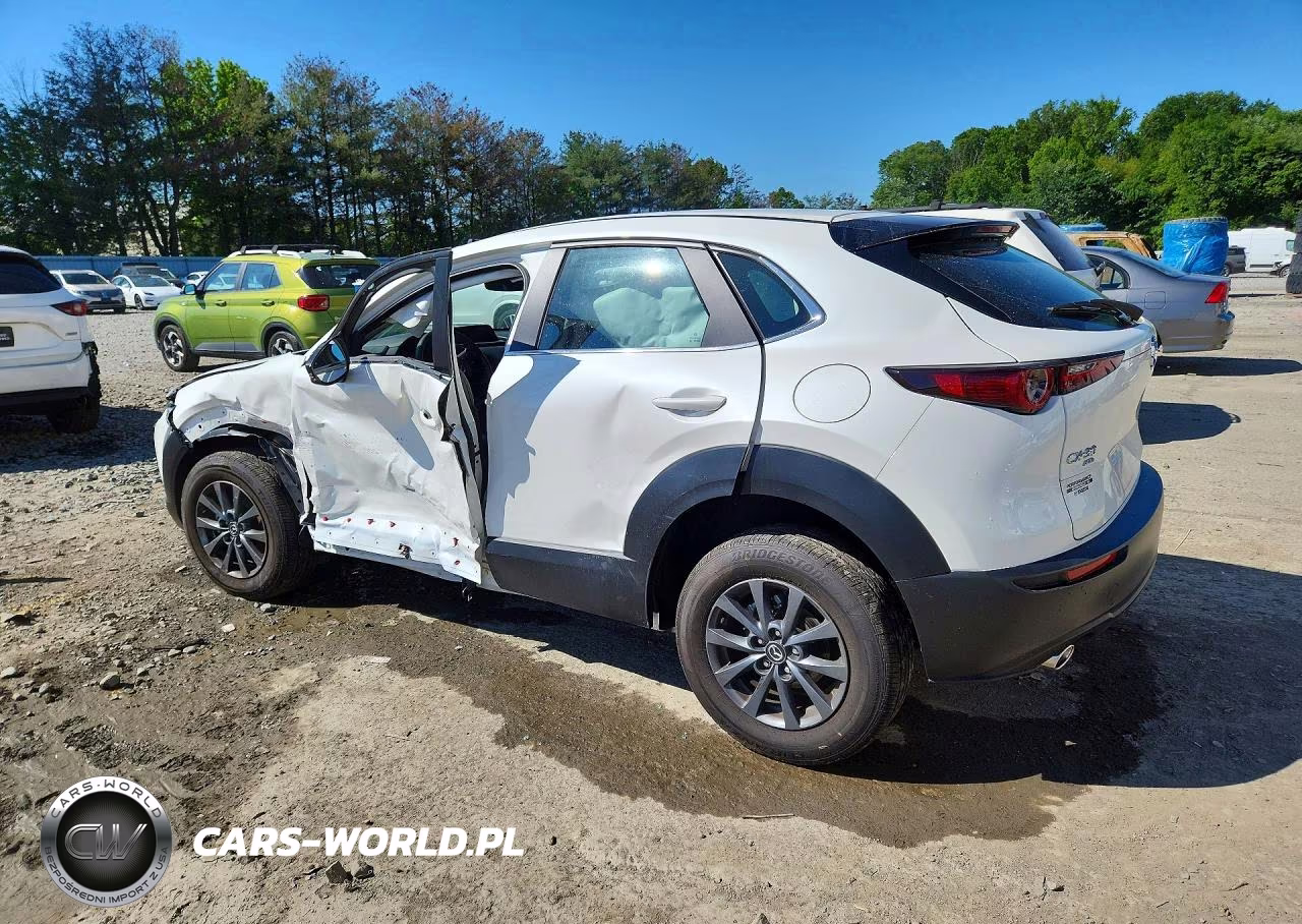 2025 Mazda Cx-30 VIN:3MVDMBAM5SM848859 - 2