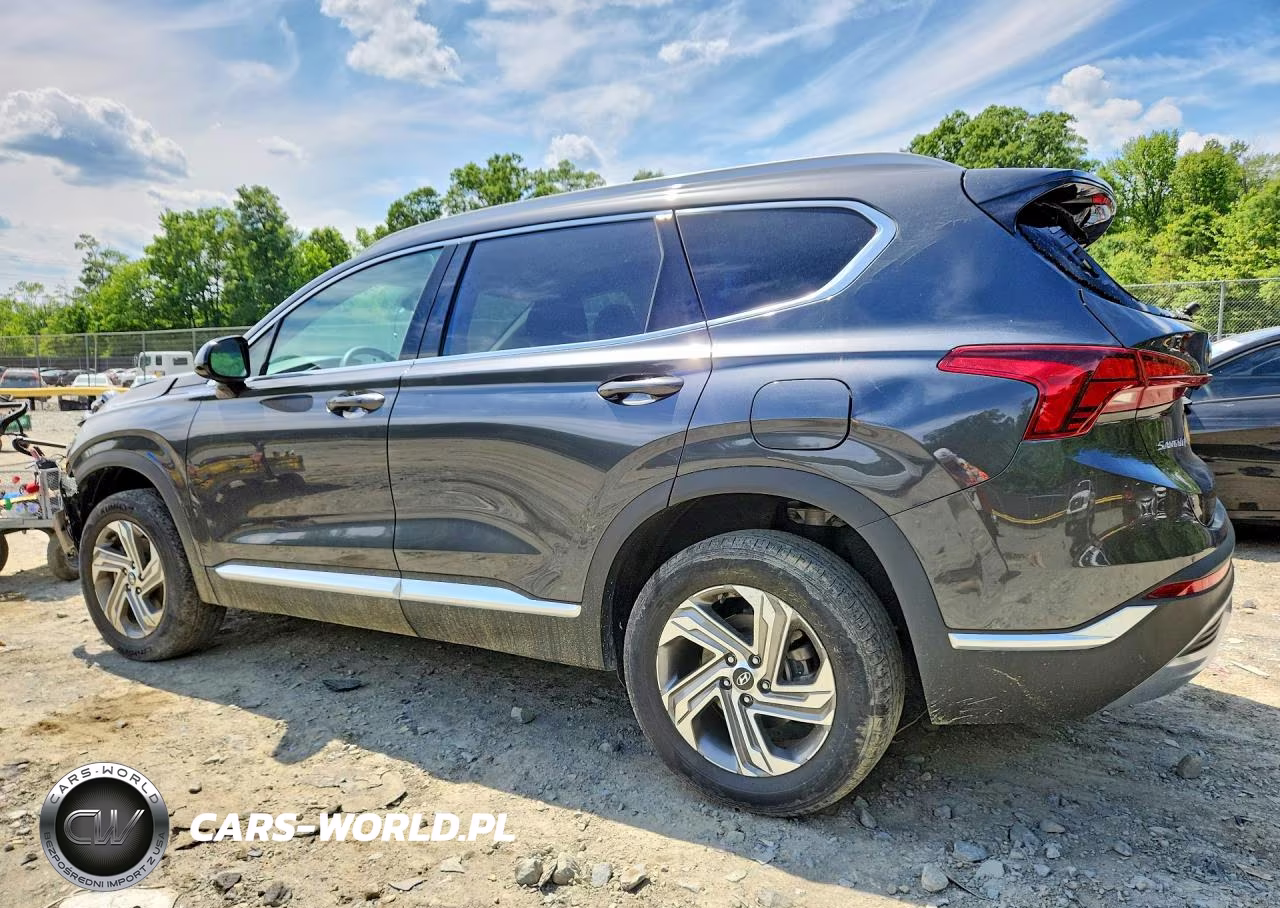 2022 Hyundai Santa Fe Sel VIN:5NMS2DAJ1NH459417 - 2