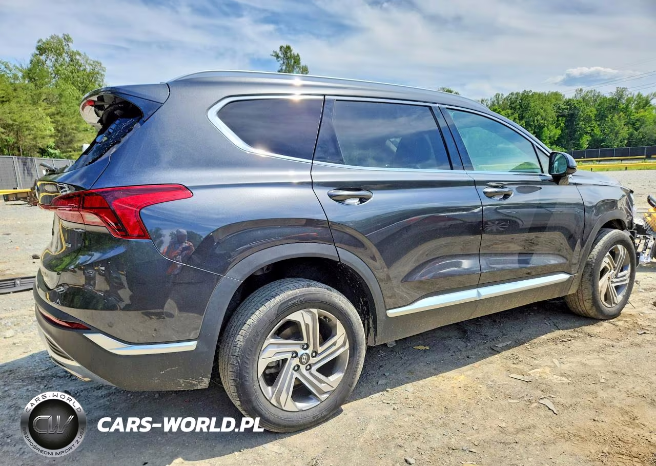 2022 Hyundai Santa Fe Sel VIN:5NMS2DAJ1NH459417 - 3