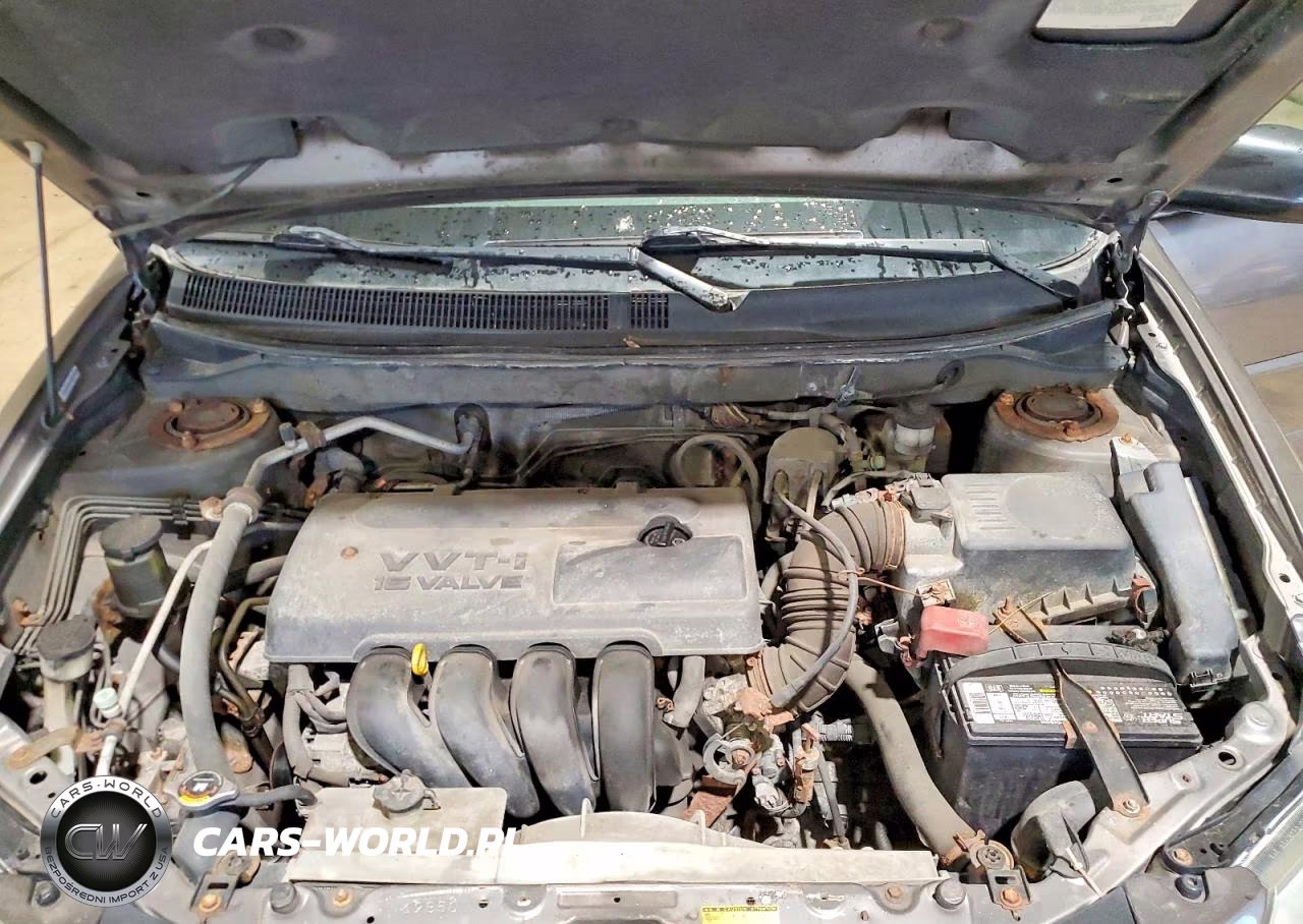 2004 Pontiac Vibe VIN:5Y2SM62824Z452522 - 11