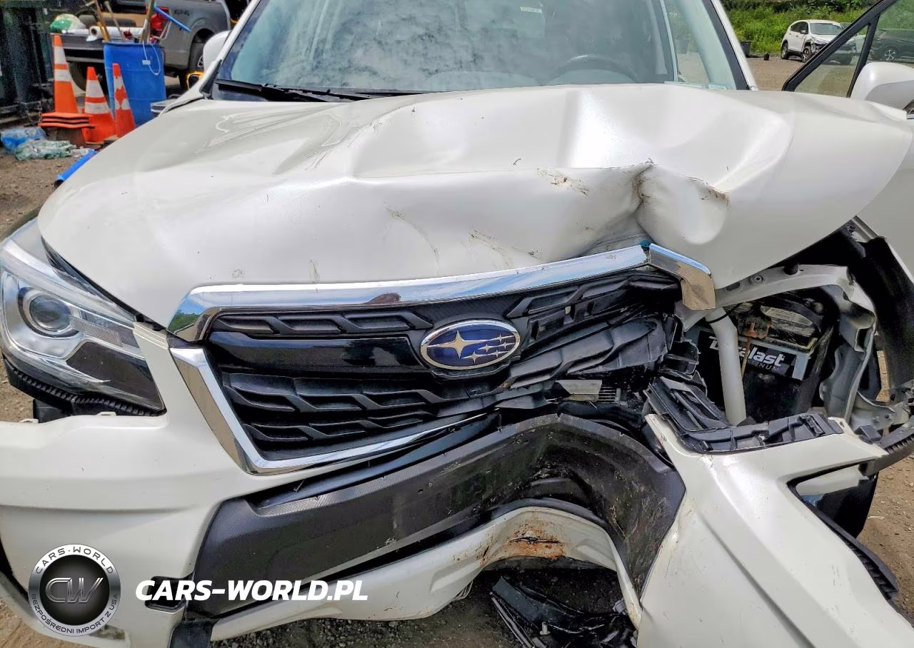 2017 Subaru Forester 2.0Xt Touring VIN:JF2SJGWCXHH528434 - 12