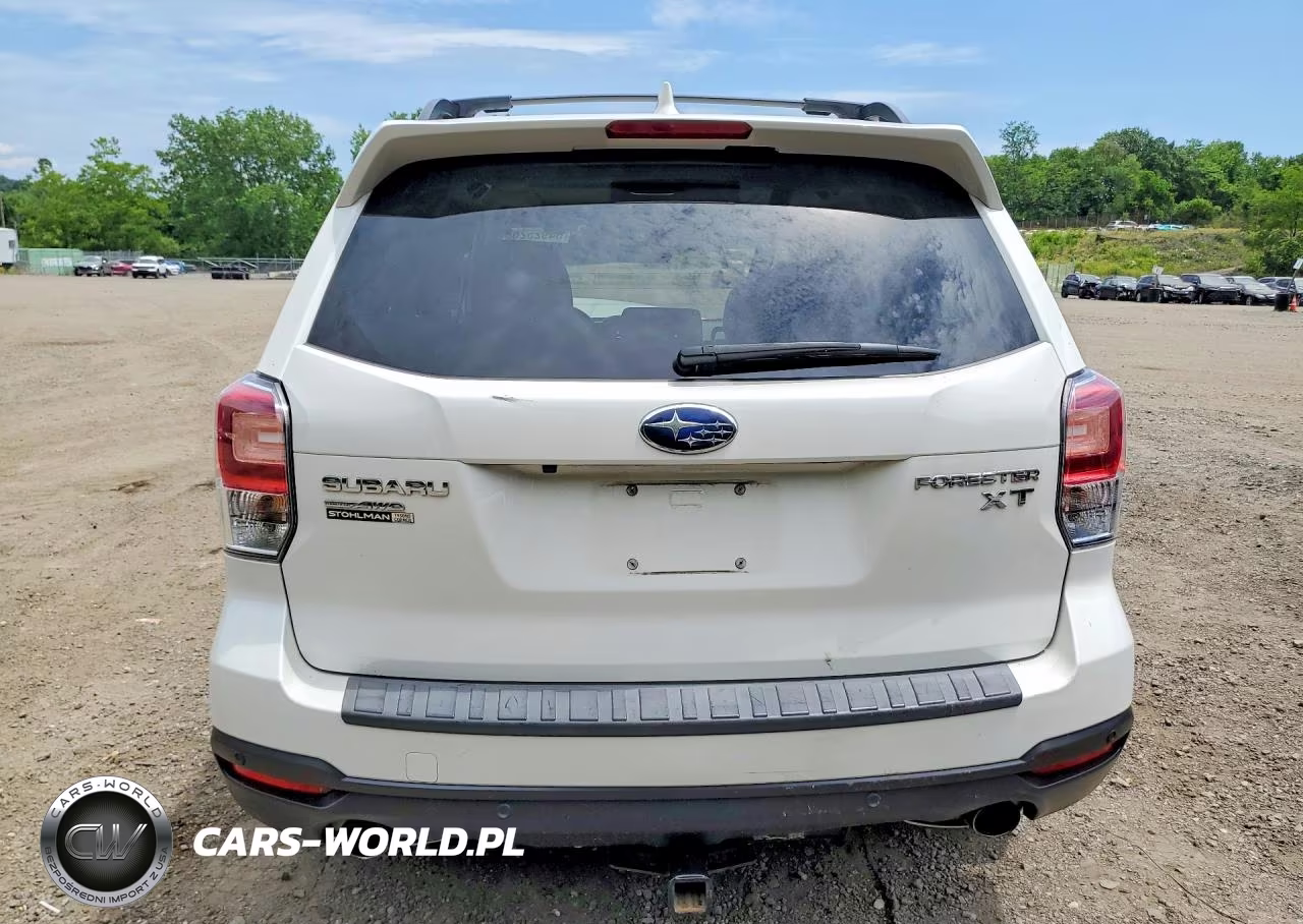 2017 Subaru Forester 2.0Xt Touring VIN:JF2SJGWCXHH528434 - 6