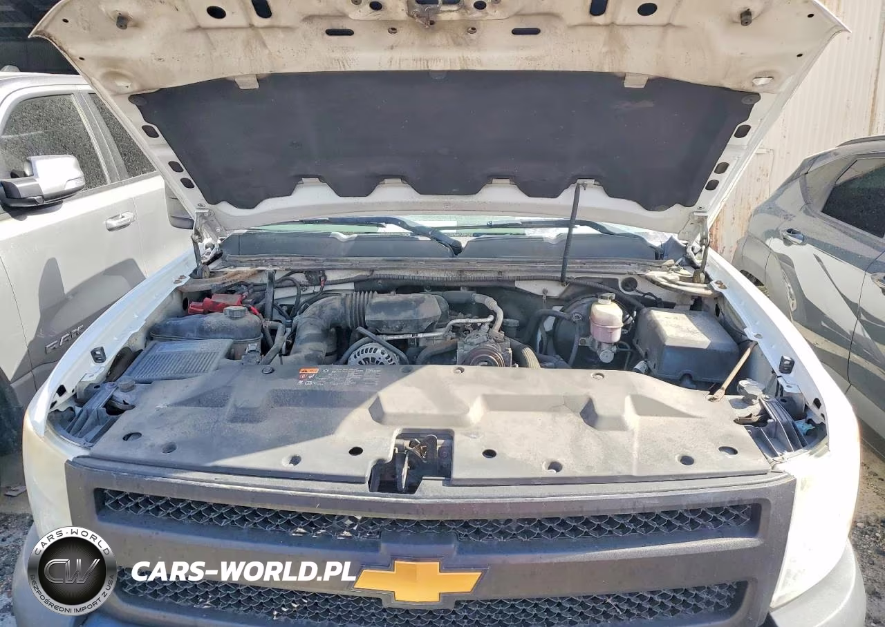 2013 Chevrolet Silverado C1500 VIN:1GCNCPEX8DZ145865 - 11