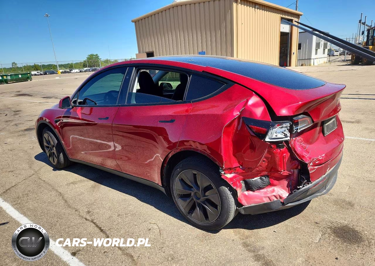 2024 Tesla Model Y VIN:7SAYGAEEXRF181277 - 2