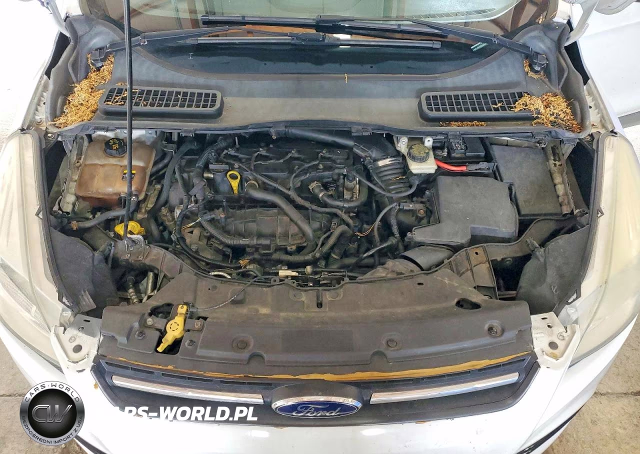 2013 Ford Escape Se VIN:1FMCU9GX5DUA49147 - 12