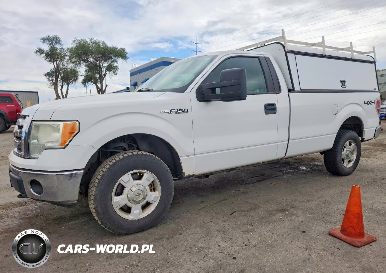2010 Ford F150