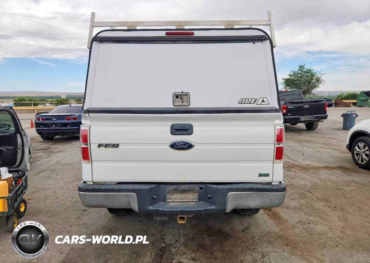 2010 Ford F150 VIN:1FTNF1EV9AKE55868 - 6