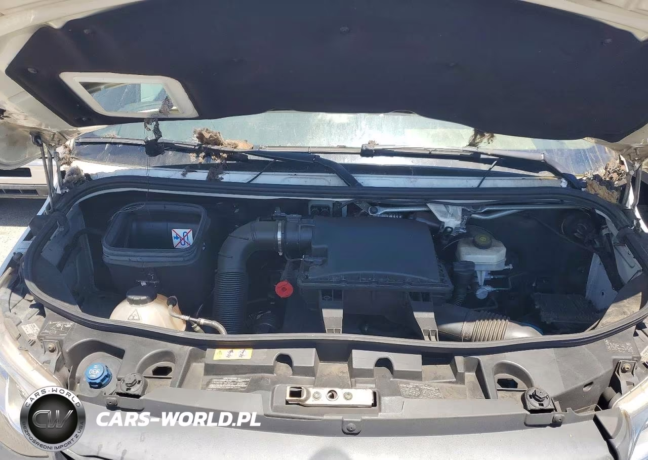 2021 Mercedes-Benz Sprinter 2500 VIN:W1W4DBHY0MT049185 - 12