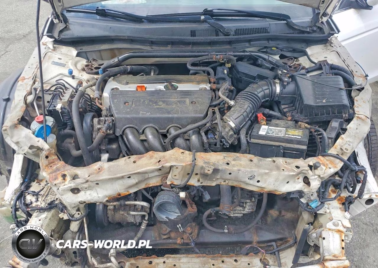 2009 Honda Accord Exl VIN:1HGCS12819A024333 - 11