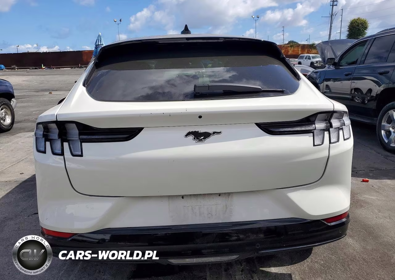 2022 Ford Mustang Mach-E Premium VIN:3FMTK3R72NMA24177 - 6