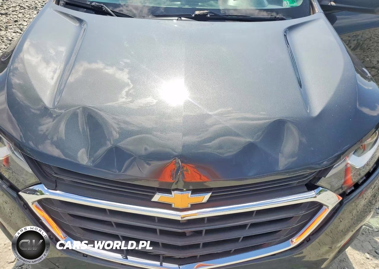 2020 Chevrolet Equinox Ls VIN:3GNAXHEV5LS564802 - 12