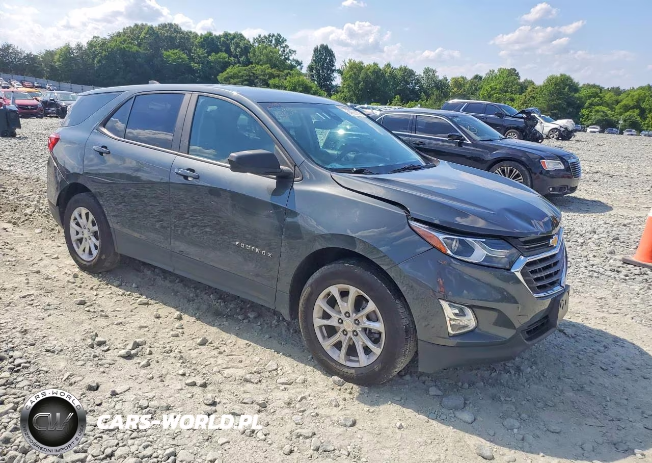 2020 Chevrolet Equinox Ls VIN:3GNAXHEV5LS564802 - 4