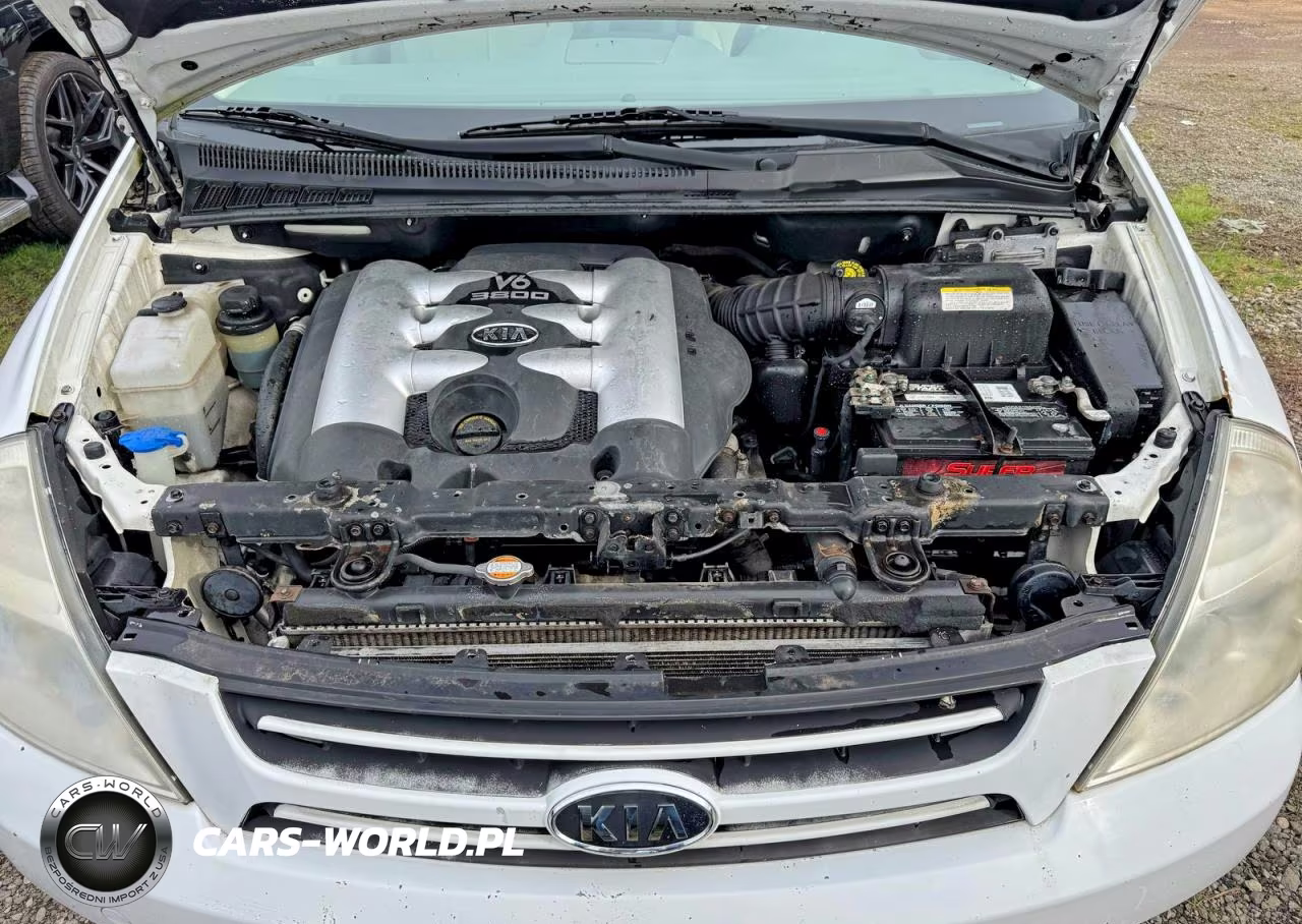 2006 Kia Sedona Lx VIN:KNDMB233766022936 - 7