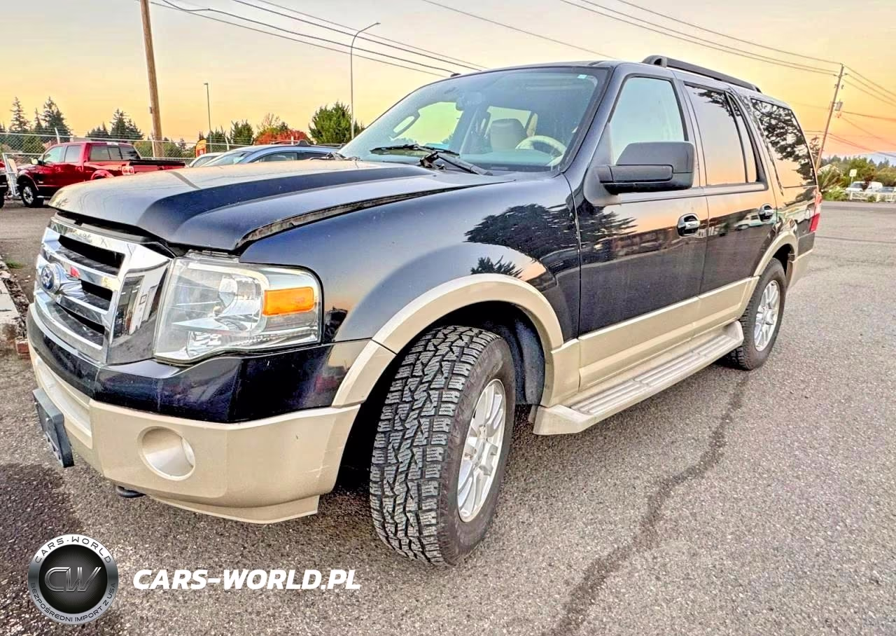 2010 Ford Expedition Eddie Bauer VIN:1FMJU1J58AEB58207 - 2