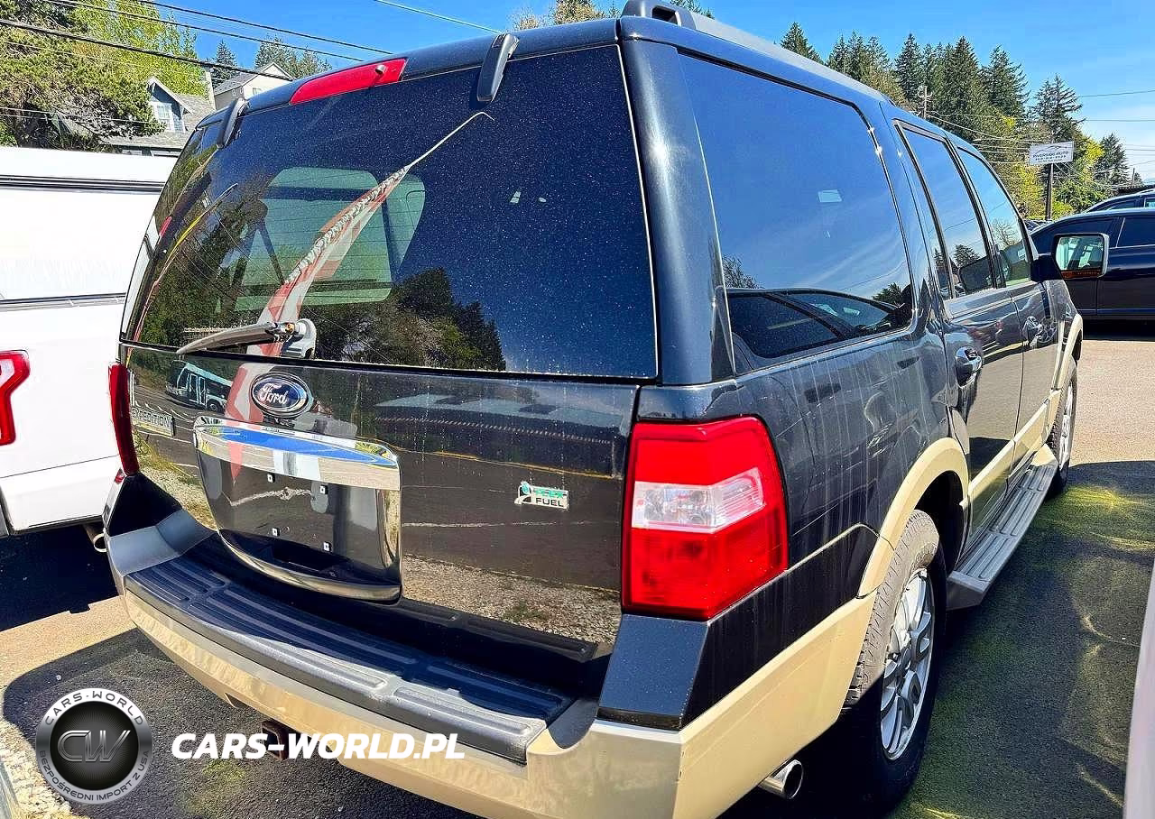 2010 Ford Expedition Eddie Bauer VIN:1FMJU1J58AEB58207 - 4