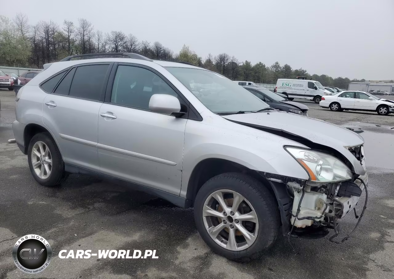 2009 Lexus Rx 350 VIN:2T2HK31U89C120868 - 4