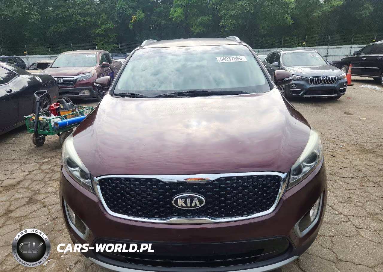 2017 Kia Sorento Ex VIN:5XYPH4A17HG211823 - 5