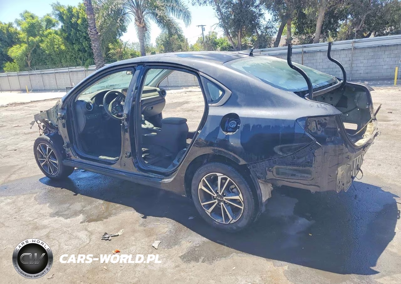 2022 Kia Forte Lxs VIN:3KPF24AD0NE503796 - 2