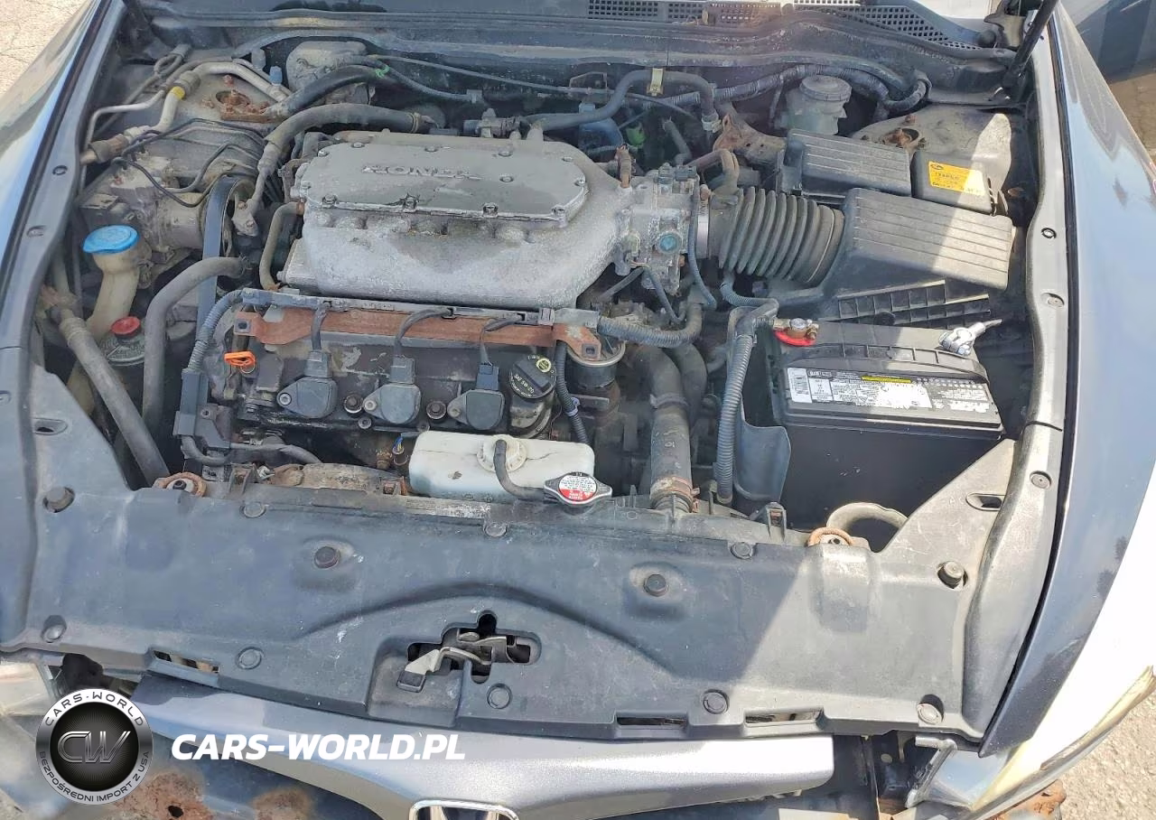 2005 Honda Accord Se VIN:1HGCM82485A017664 - 11