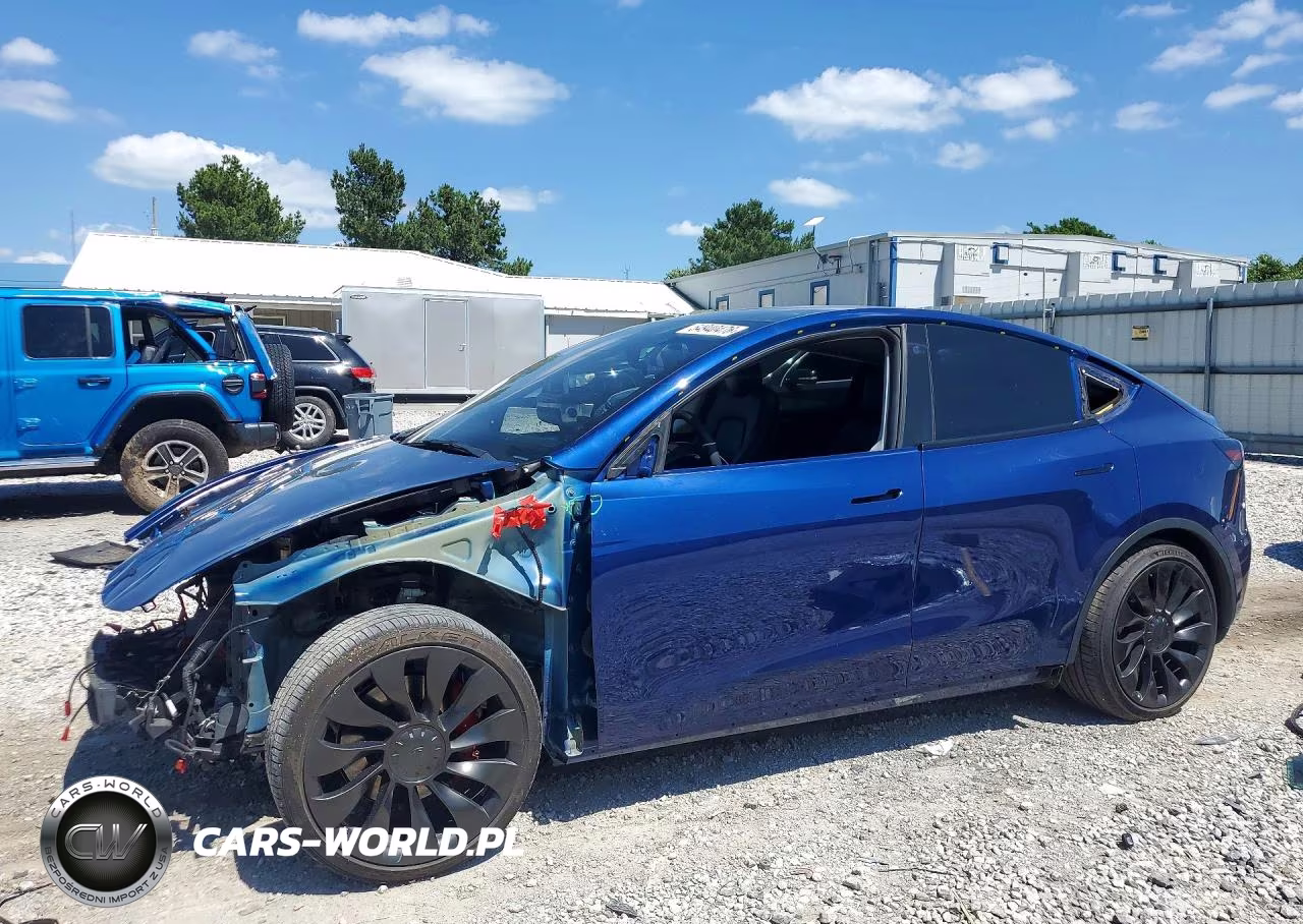 2021 Tesla Model Y