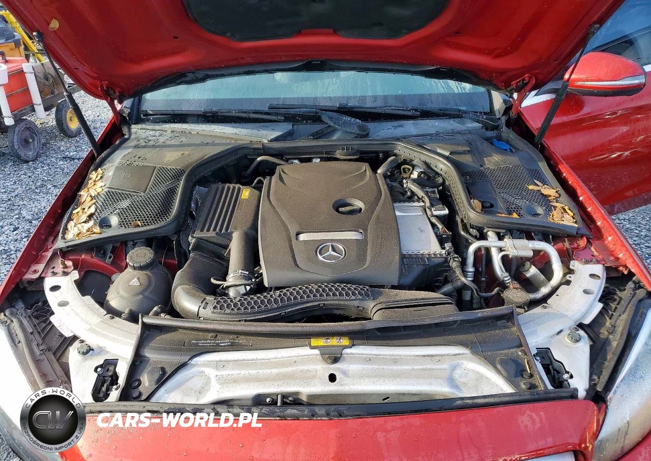 2018 Mercedes-Benz C 300 VIN:55SWF4JB6JU255172 - 11