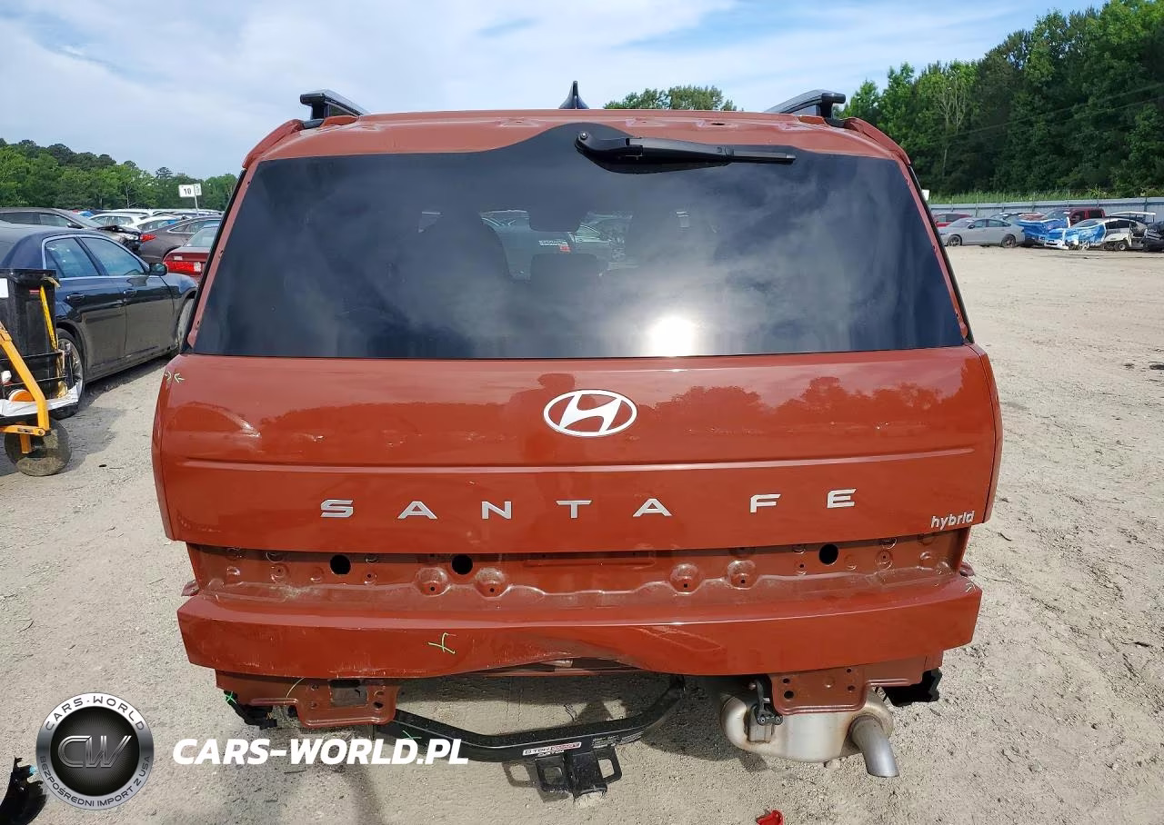 2025 Hyundai Santa Fe Limited VIN:5NMP34G13SH027465 - 6