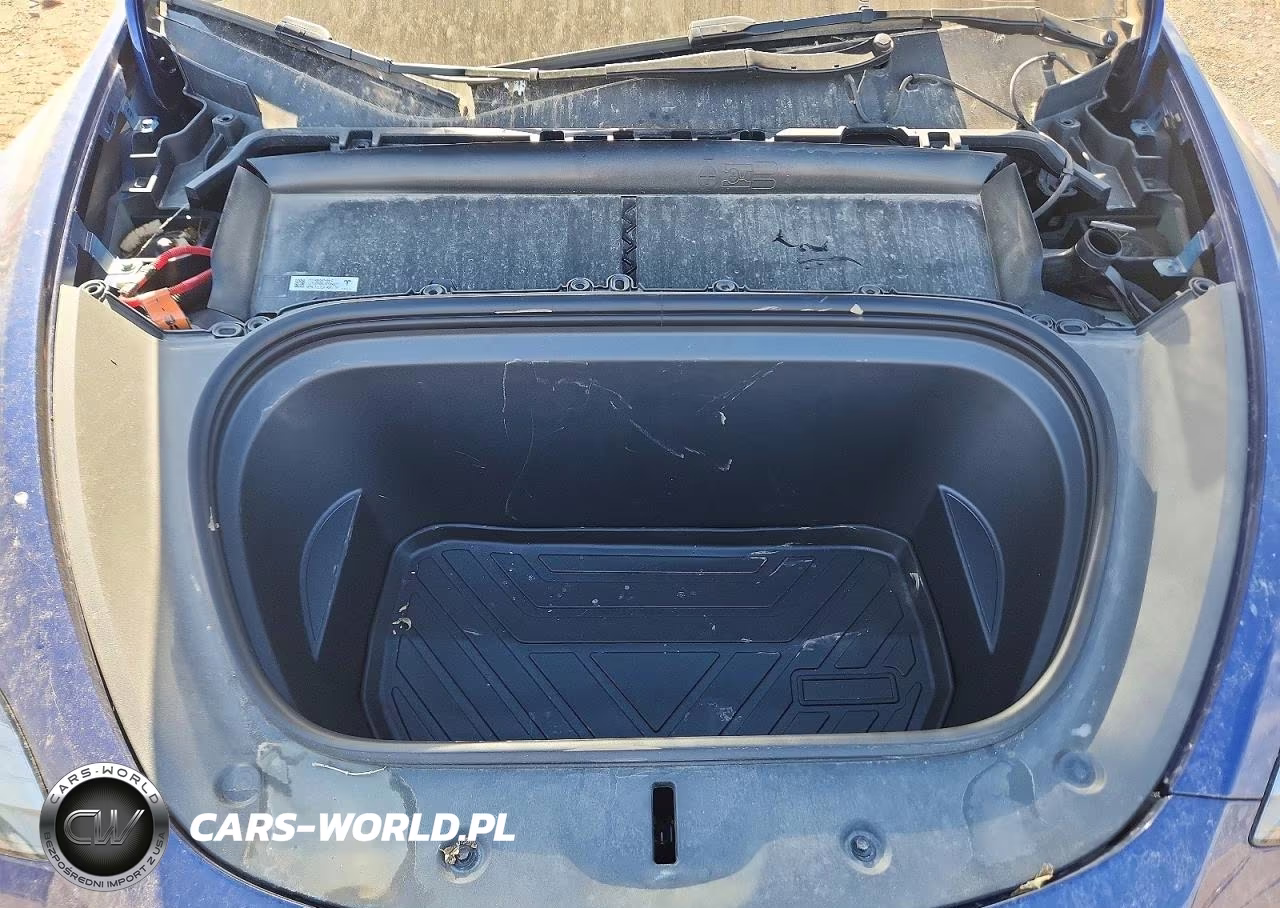 2024 Tesla Model Y VIN:7SAYGAEE4RF186393 - 11