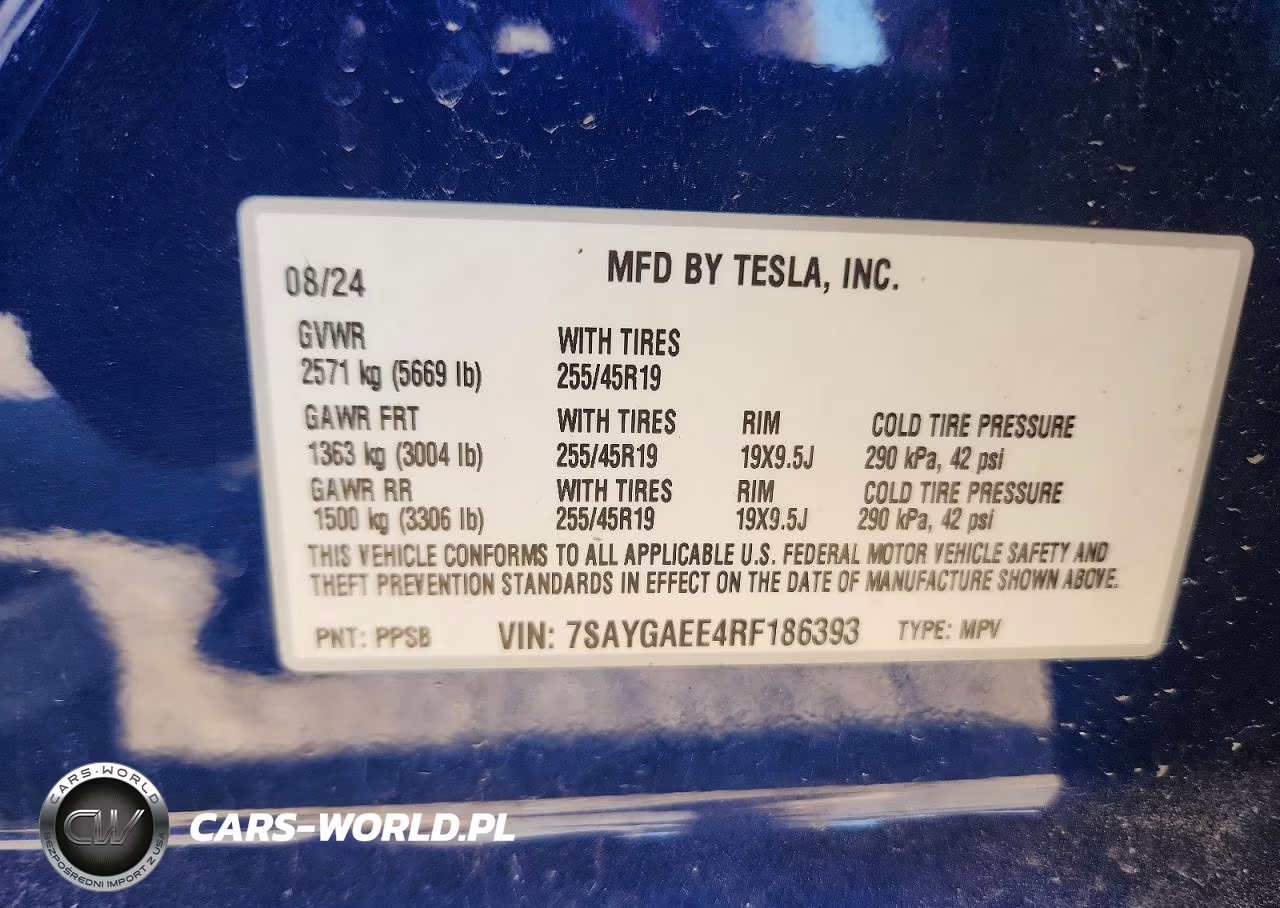 2024 Tesla Model Y VIN:7SAYGAEE4RF186393 - 12