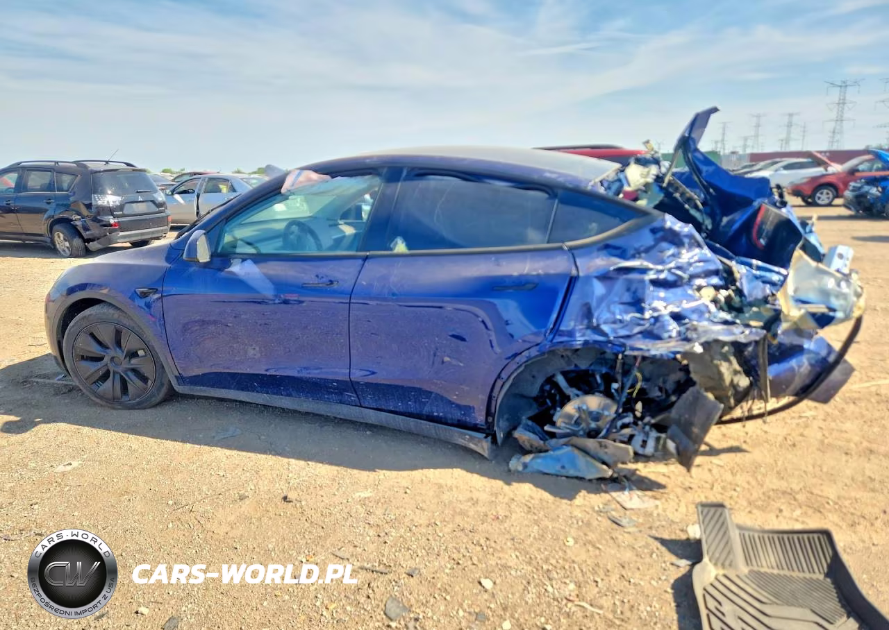2024 Tesla Model Y VIN:7SAYGAEE4RF186393 - 2