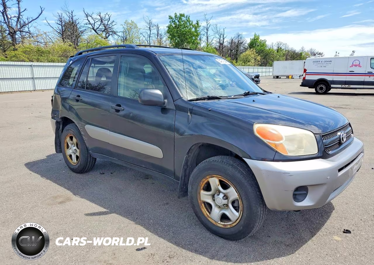 2004 Toyota Rav4 Base VIN:JTEHD20V140036909 - 4