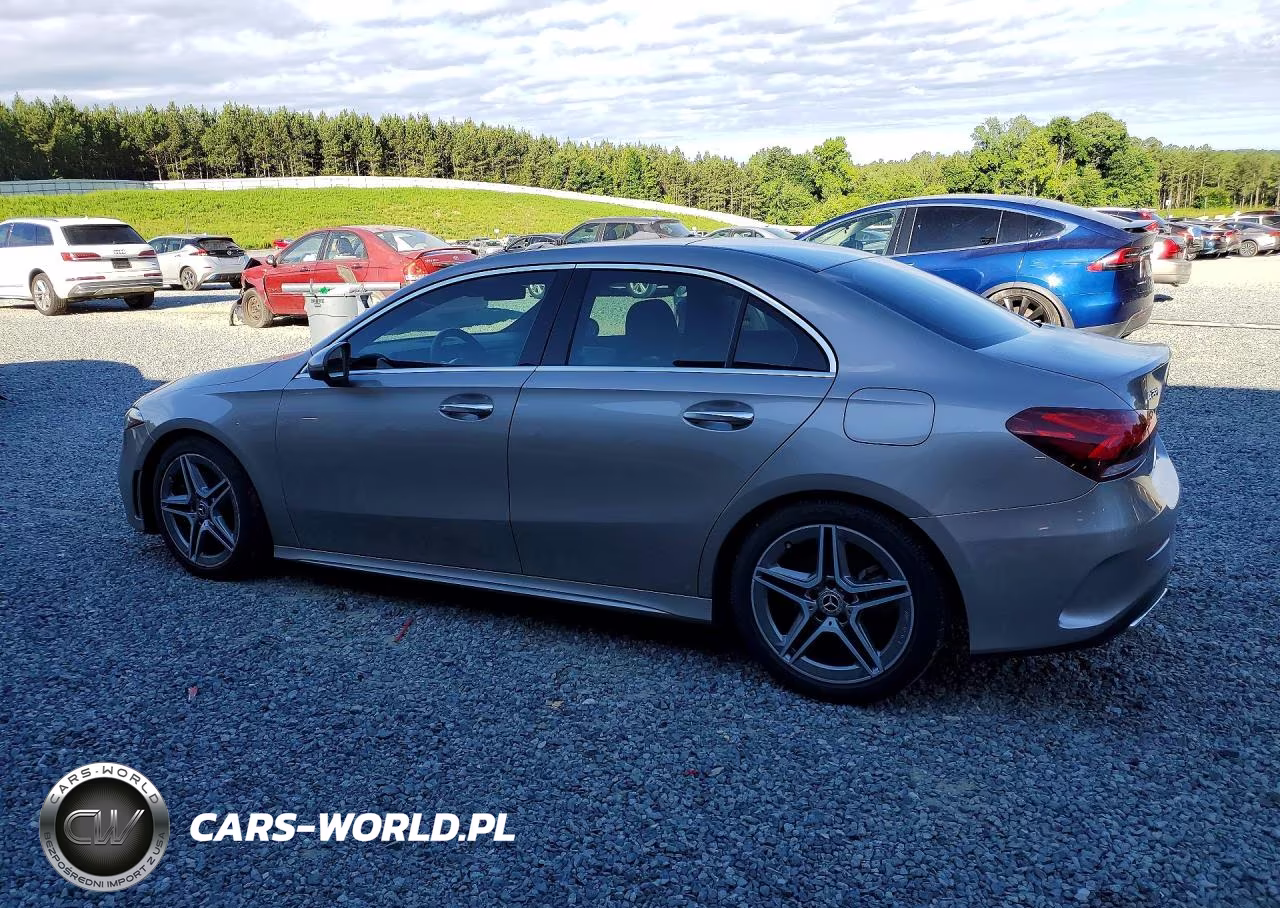 2019 Mercedes-Benz A 220 4Matic VIN:WDD3G4FB6KW005198 - 2