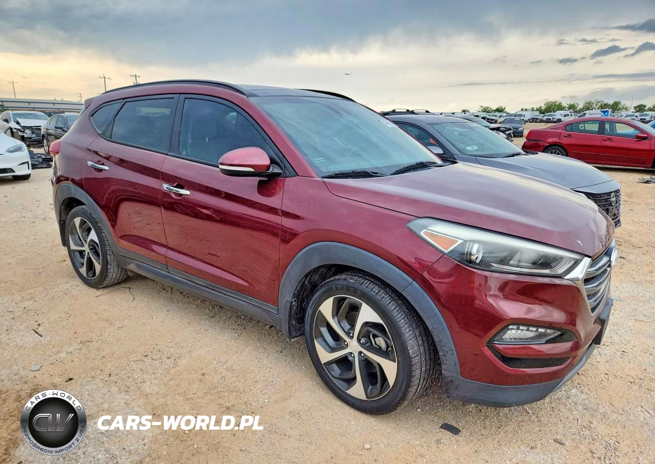 2016 Hyundai Tucson Limited VIN:KM8J33A20GU193150 - 4