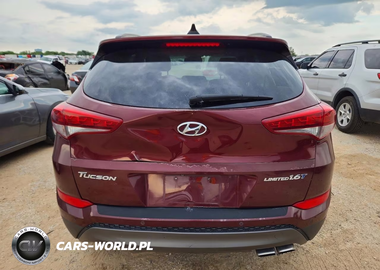 2016 Hyundai Tucson Limited VIN:KM8J33A20GU193150 - 6