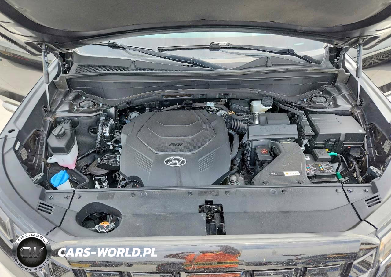 2024 Hyundai Palisade Limited VIN:KM8R54GE3RU785021 - 12