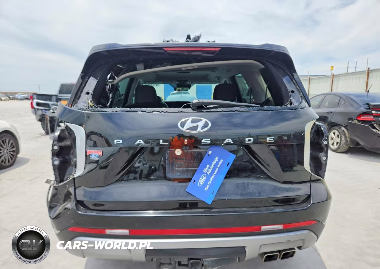 2024 Hyundai Palisade Limited VIN:KM8R54GE3RU785021 - 6