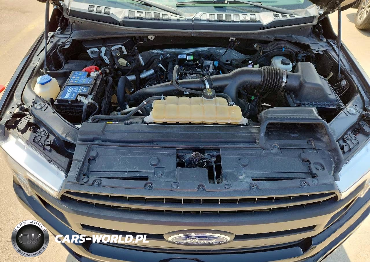 2020 Ford F150 Supercrew VIN:1FTEW1EP0LKD08844 - 11