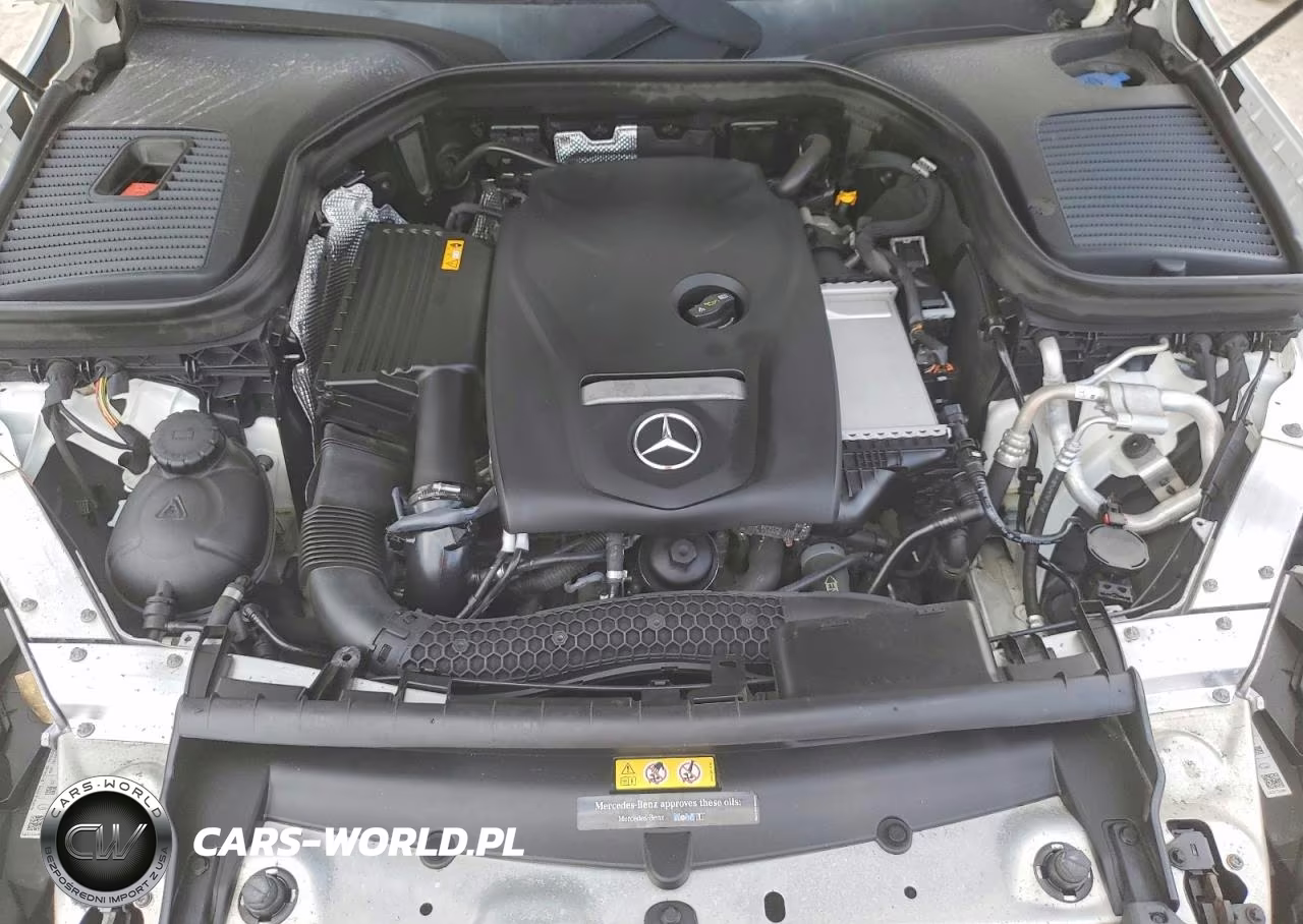 2019 Mercedes-Benz Glc Coupe 300 4Matic VIN:WDC0J4KB4KF574713 - 12