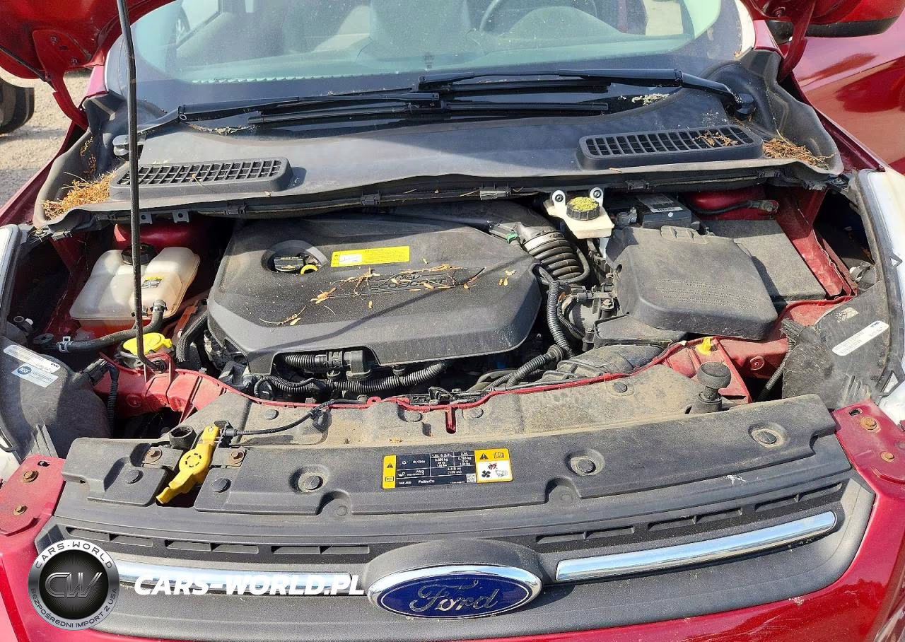 2013 Ford Escape Se VIN:1FMCU9GX0DUC50860 - 12