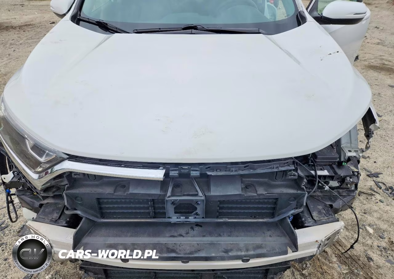 2019 Honda Cr-V Exl VIN:7FARW2H86KE064015 - 12