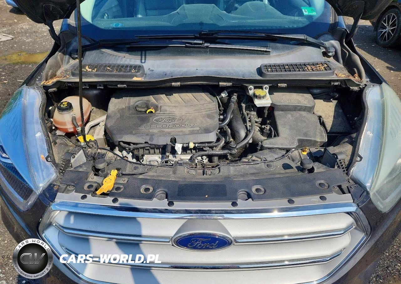 2017 Ford Escape Titanium VIN:1FMCU0JD2HUB13001 - 12